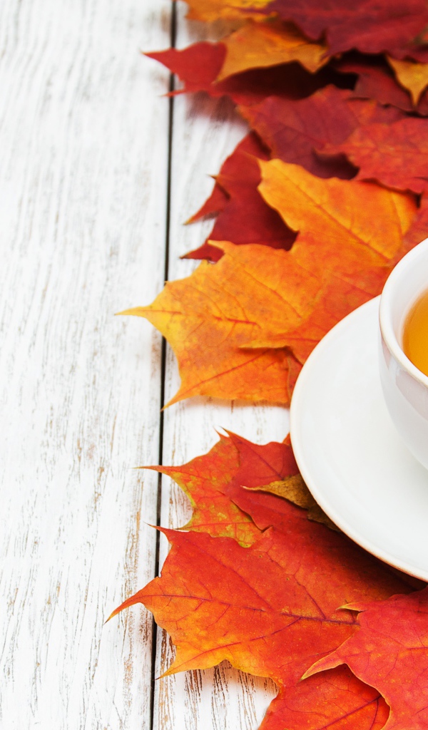 Чашка чая на столе с осенней листвой 