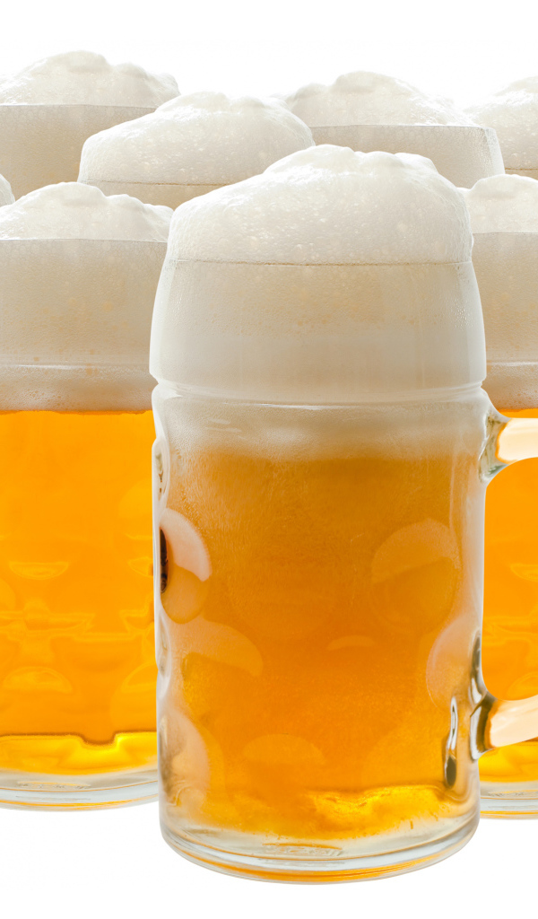 Много бокалов пенного пива на белом фоне