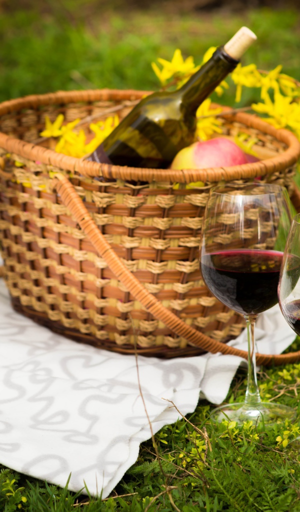 Два бокала вина с корзиной на зеленой траве для пикника 
