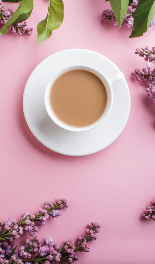 Белая чашка с какао на розовом фоне с цветами сирени