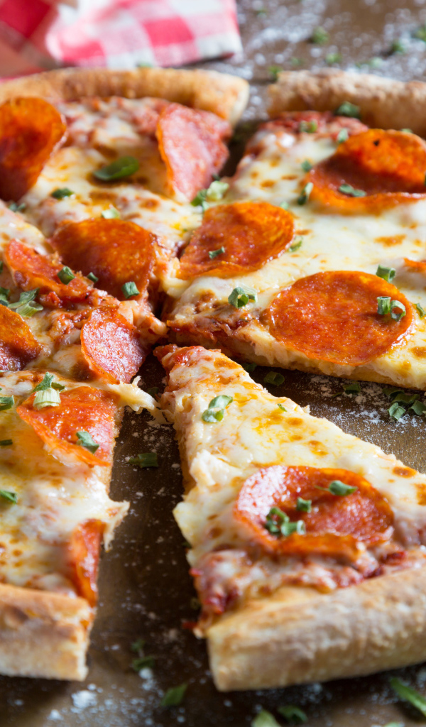 Аппетитная пицца с кусочками колбасы и сыром