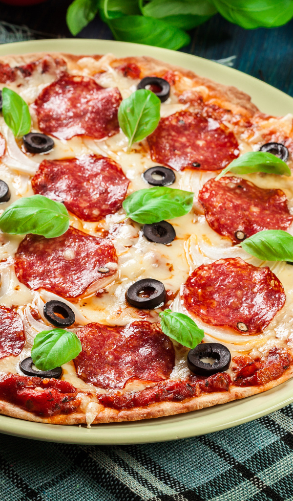 Пицца с сыром и салями на столе 