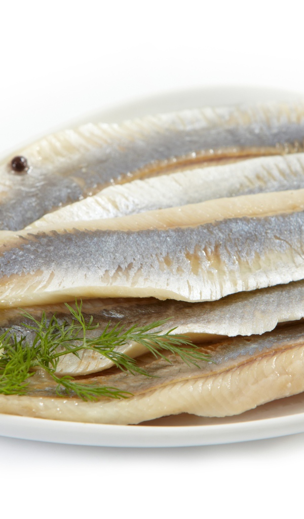 Herring fillet on white background with onions