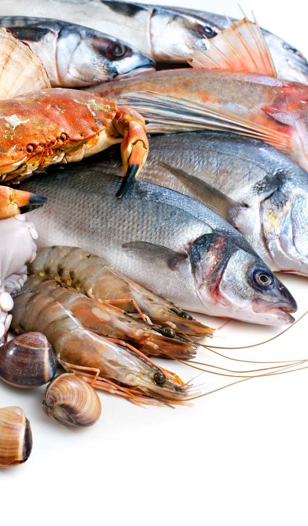 Много различных морепродуктов на белом фоне