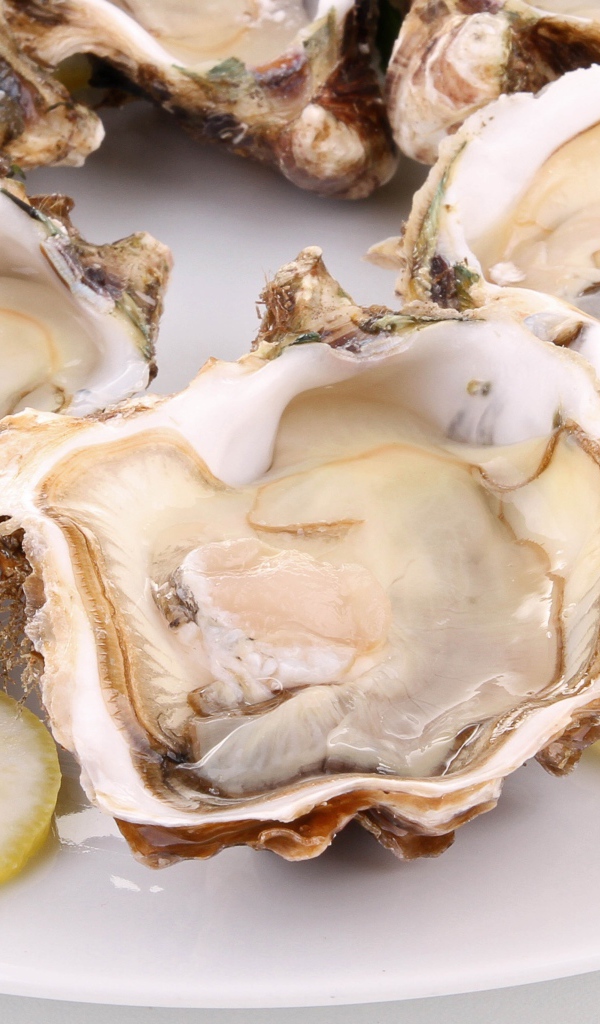 Устрицы с лимоном и укропом на белой тарелке