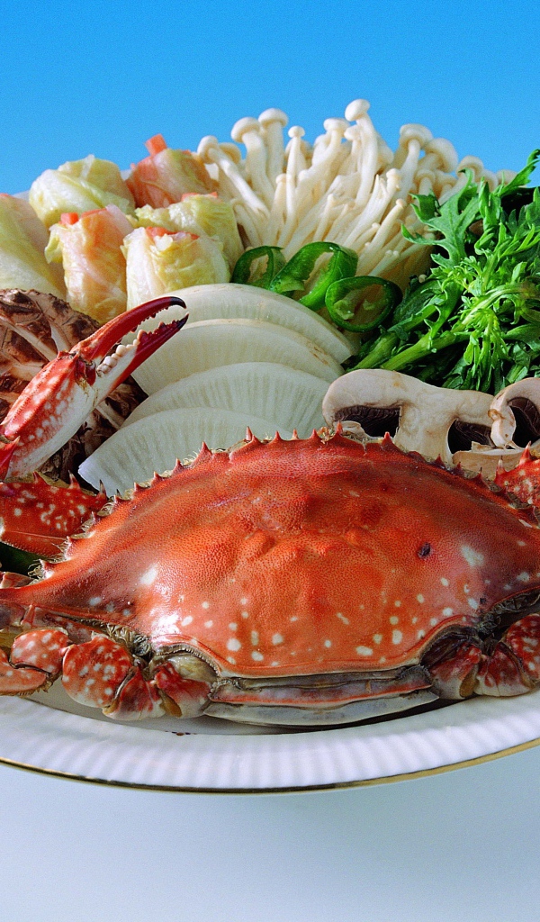 Морепродукты на тарелке с зеленью на голубом фоне