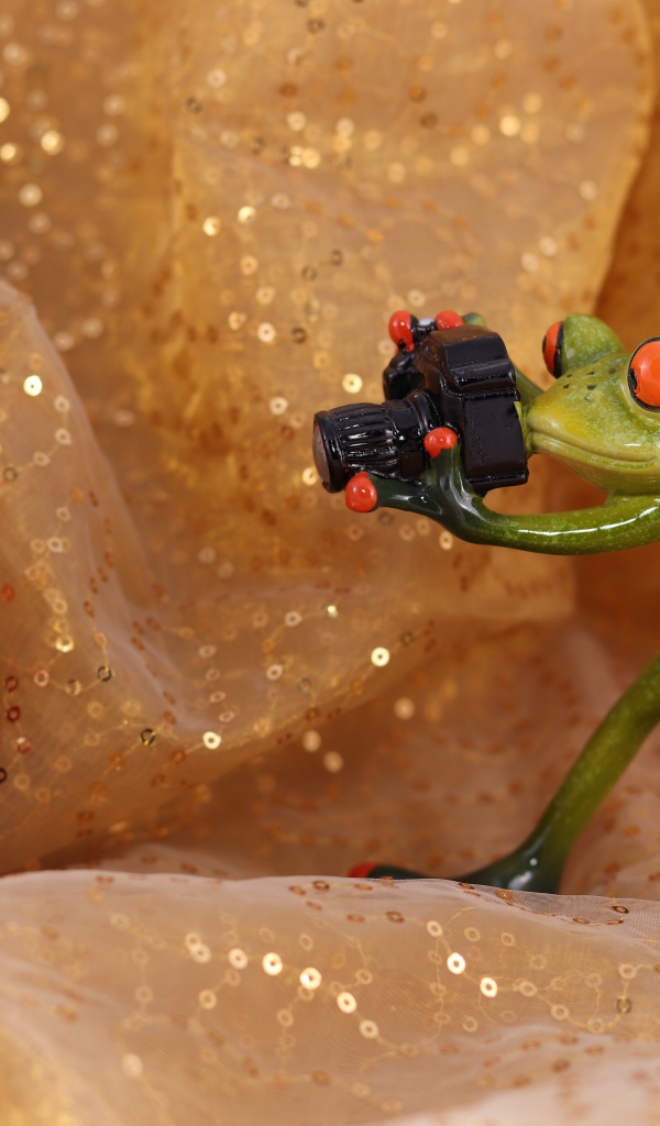 Зеленая жаба фотографирует Деда Мороза