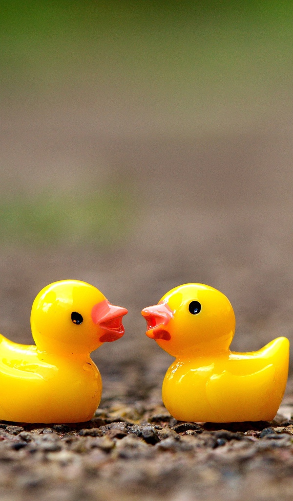 Две игрушечных желтых уточки на асфальте 