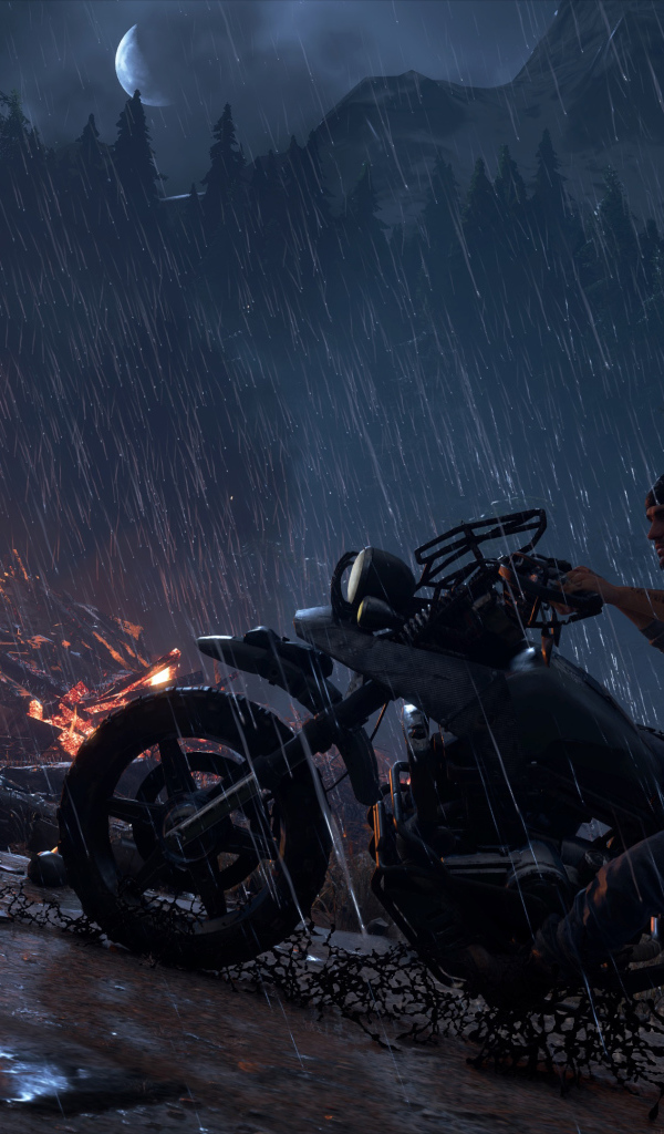 Скриншот компьютерной игры Days Gone, 2019