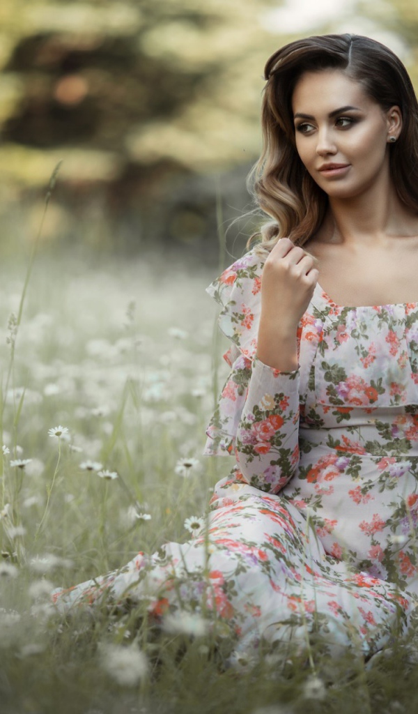 Красивая девушка в сарафане сидит на поляне с ромашками 