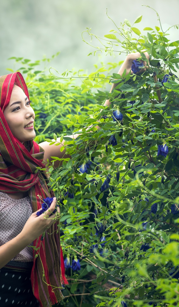 Девушка азиатка собирает цветы в корзину
