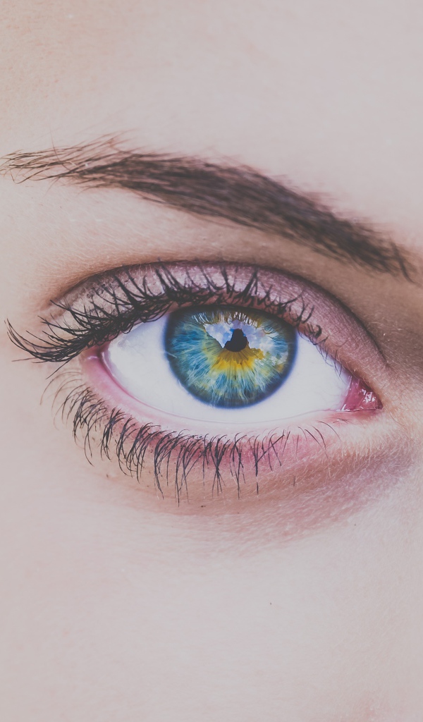 Красивый голубой глаз молодой девушки крупным планом