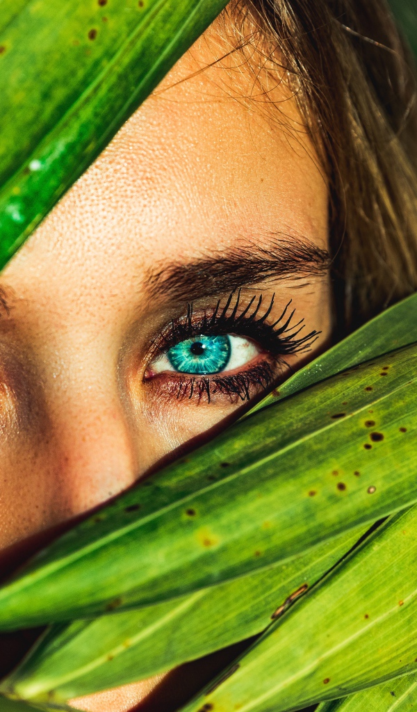 Девушка с голубыми глазами в зеленых листьях 