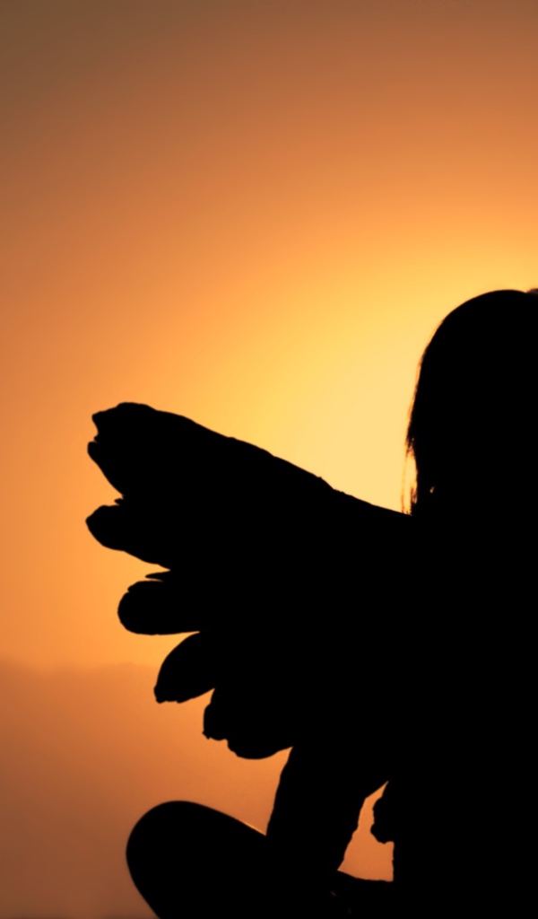 Силуэт девушки с крыльями ангела на фоне заката