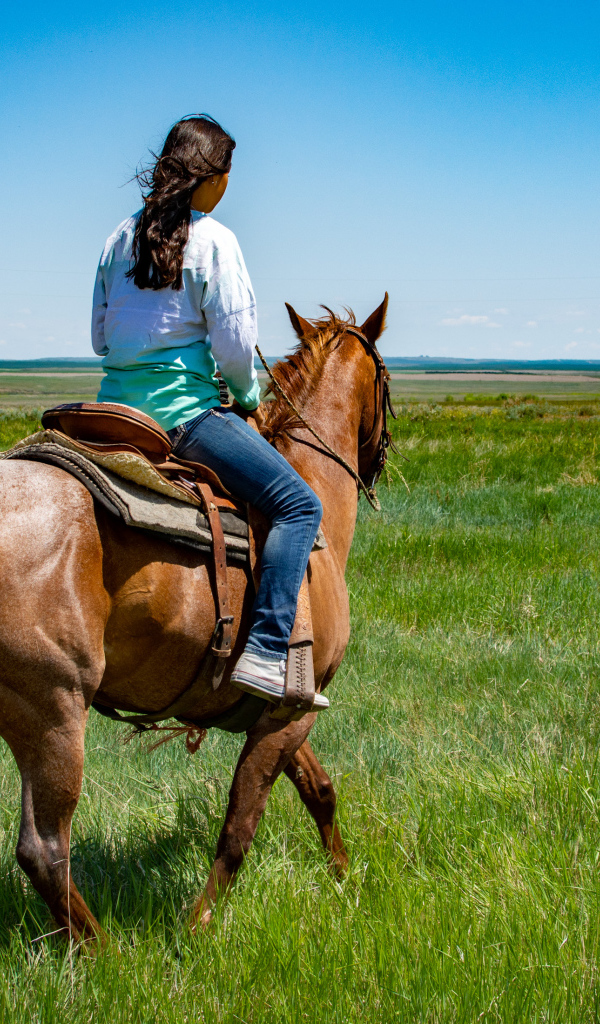 Молодая девушка едет на лошади по зеленой траве