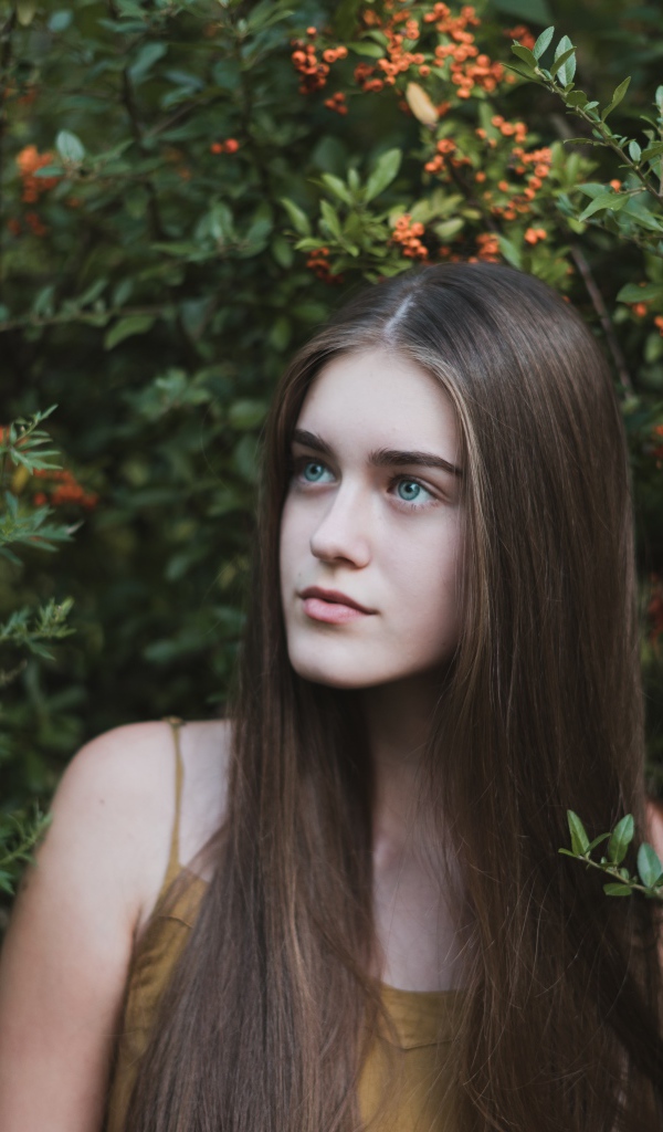 Молодая нежная девушка с длинными волосами в зеленых зарослях 