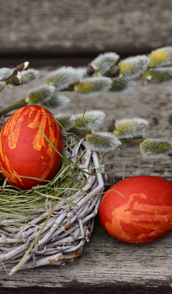 Крашеные яйца в гнезде с веточкой вербы на деревянном столе