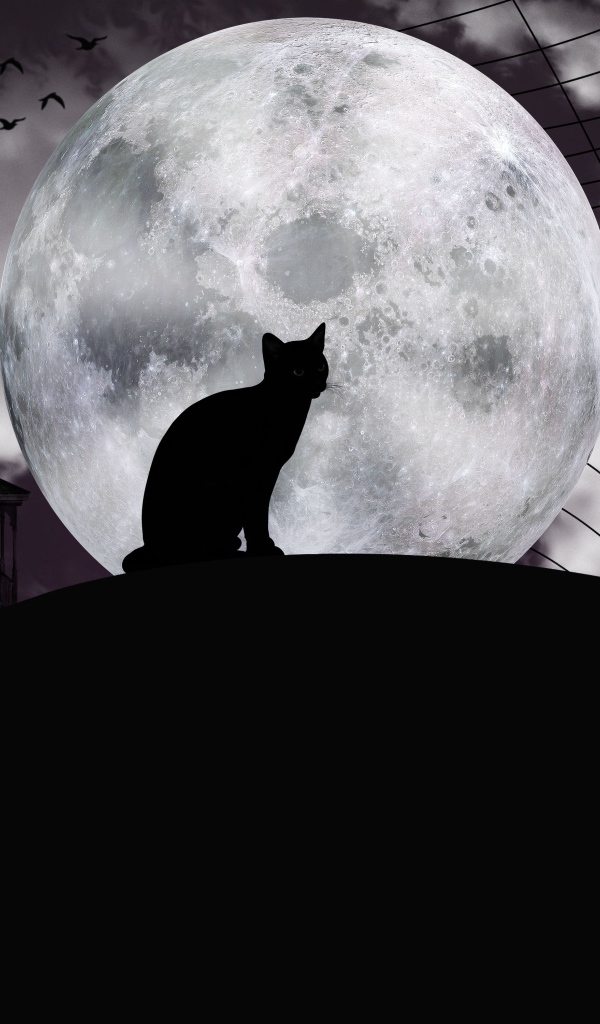 Черный кот на фоне большой луны на Хэллоуин 