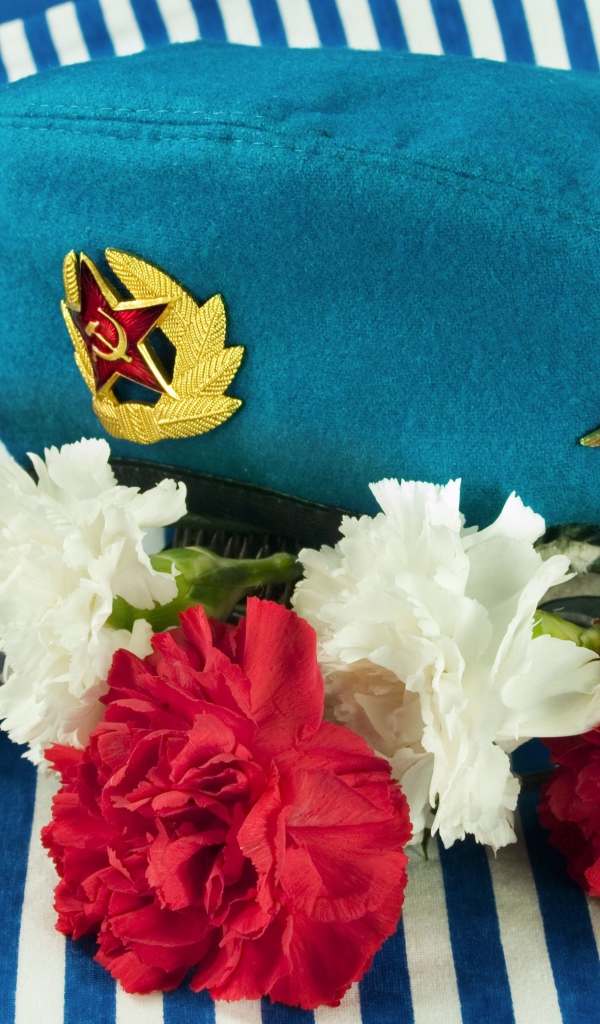 Букет гвоздик, берет ВДВ и тельняшка на 9 мая 
