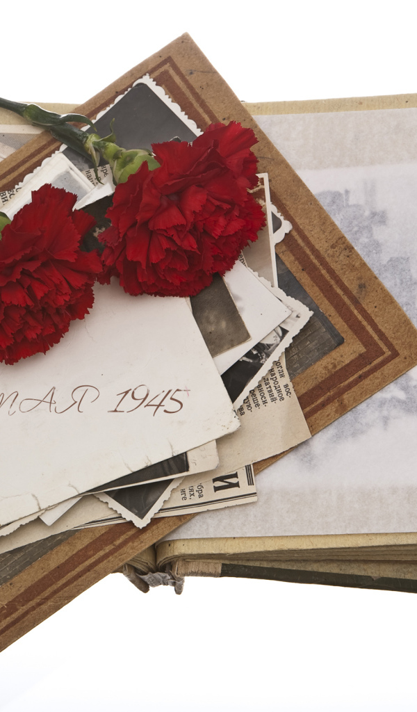 Военный альбом и две гвоздики на белом фоне на День Победы 9 мая 