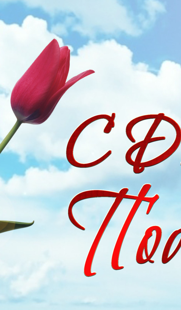 Звезда победы с  тюльпаном на праздник 9 мая