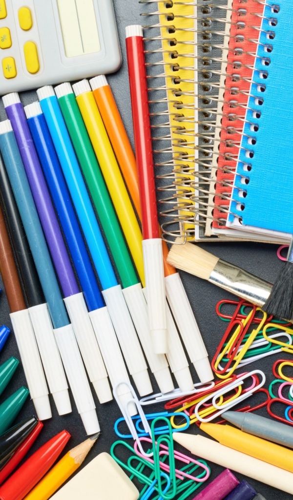 Many school supplies on Knowledge Day on September 1