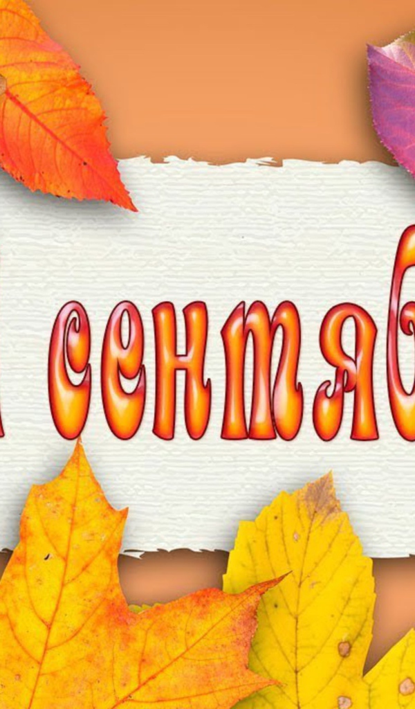 Желтые листья на 1 сентября день знаний