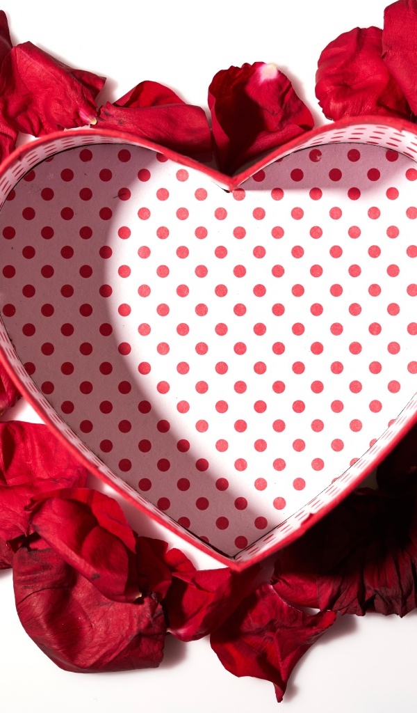 Подарочная коробка в форме сердца с лепестками красной розы на белом фоне