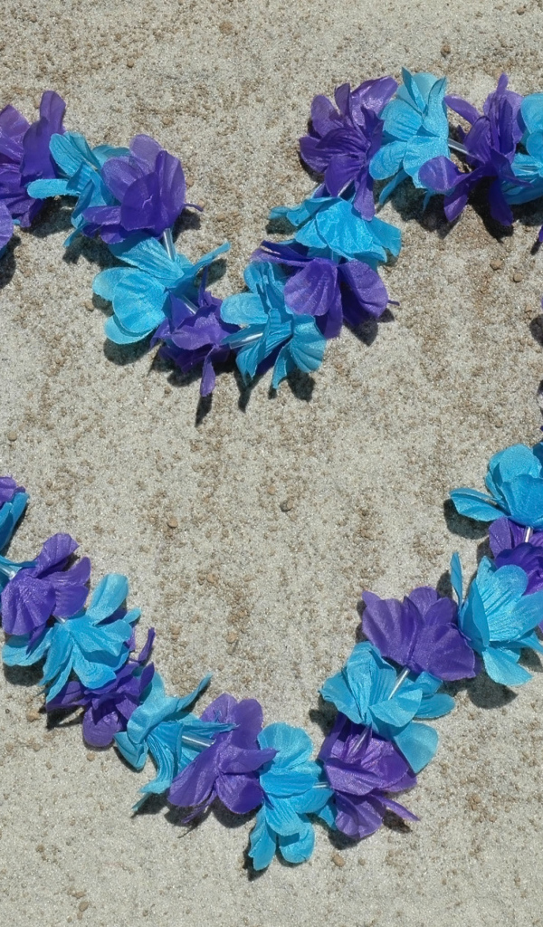 Сердце из цветов на песке на пляже