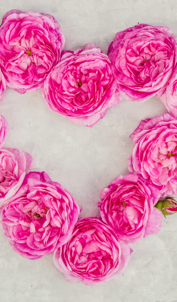 Сердце из розовых роз на сером фоне