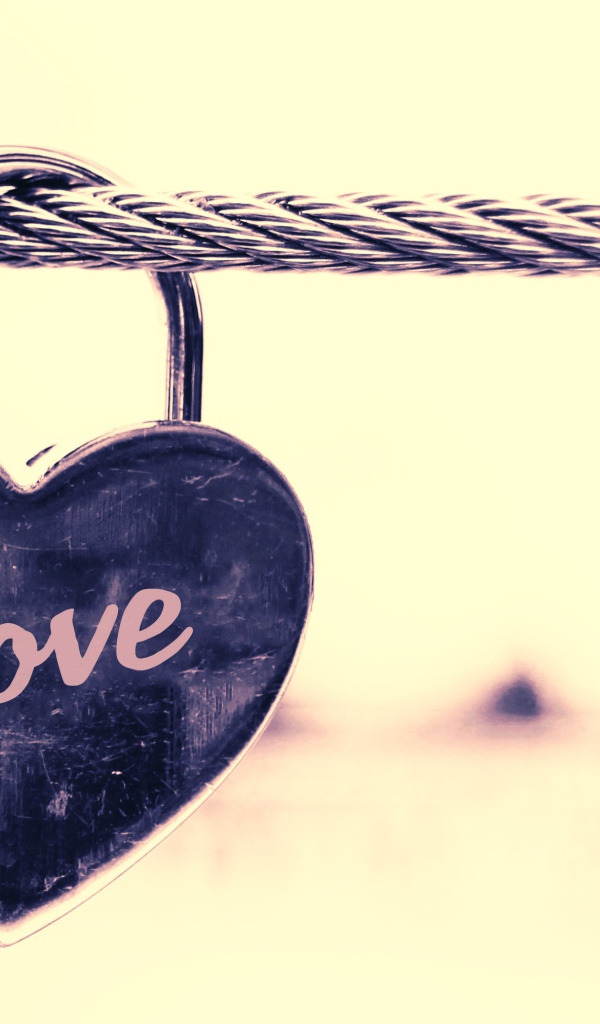 Замок в форме сердца на железном канате 