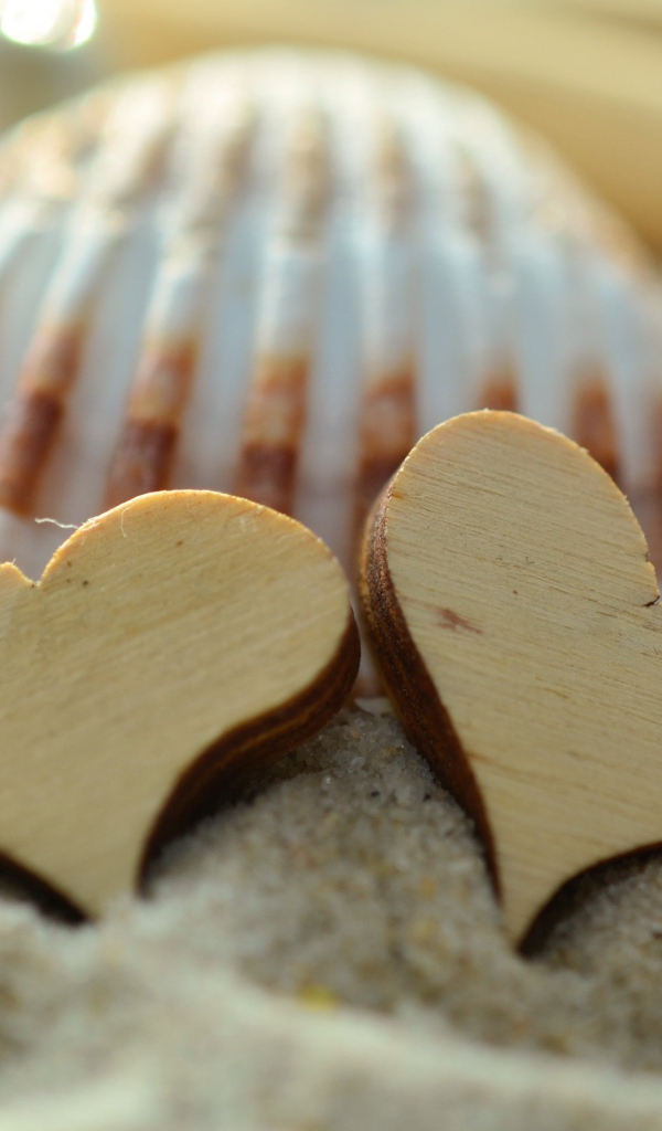 Два деревянных сердца и ракушки лежат на песке