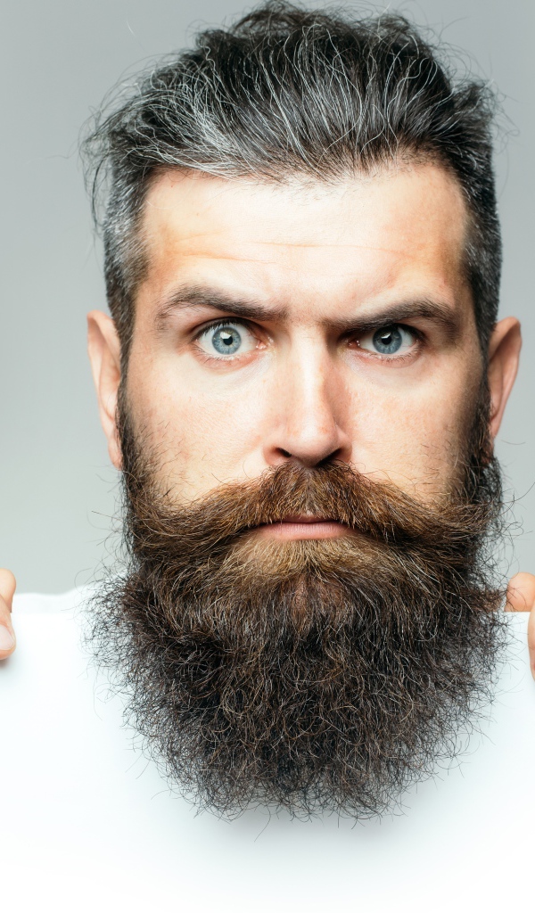 Голубоглазый мужчина с бородой на сером фоне