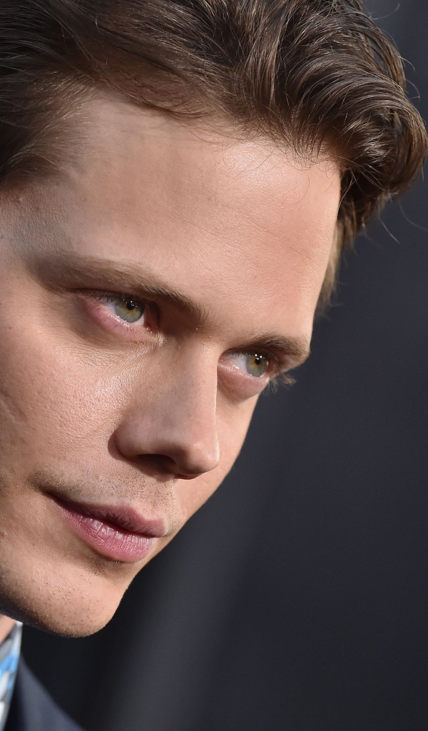 Актер Билл Скарсгорд лицо крупным планом