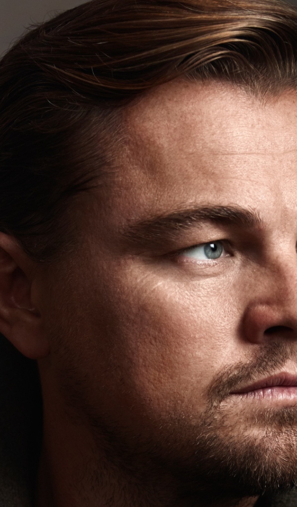 Красивый мужчина, актер Леонардо Ди Каприо лицо крупным планом