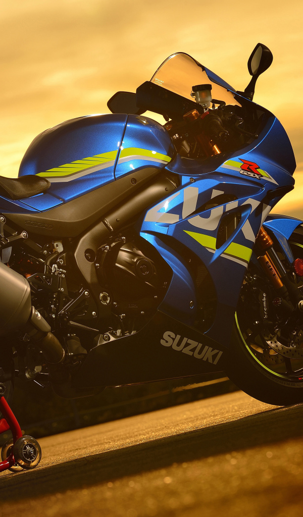 Sports bike Suzuki GSX-R1000R