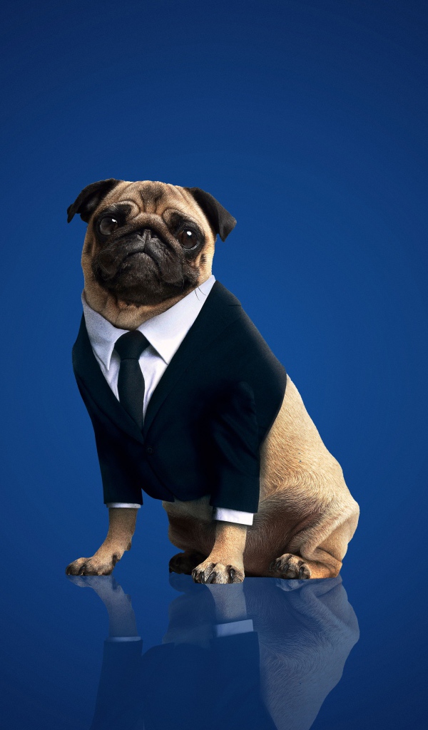 Фрэнк персонаж фильма Люди в чёрном: Интернэшнл, 2019