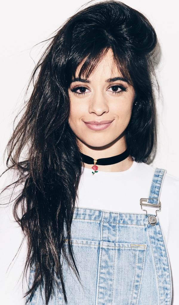 Красивая длинноволосая брюнетка, певица  Камила Кабельо на сером фоне