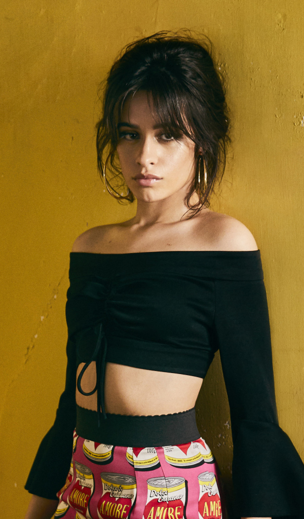 Красивая певица Камила Кабельо у стены