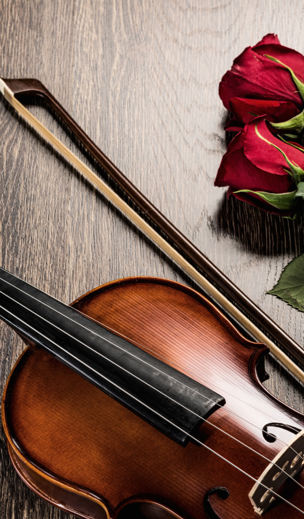 Скрипка лежит на столе с бокалом шампанского и красными розами