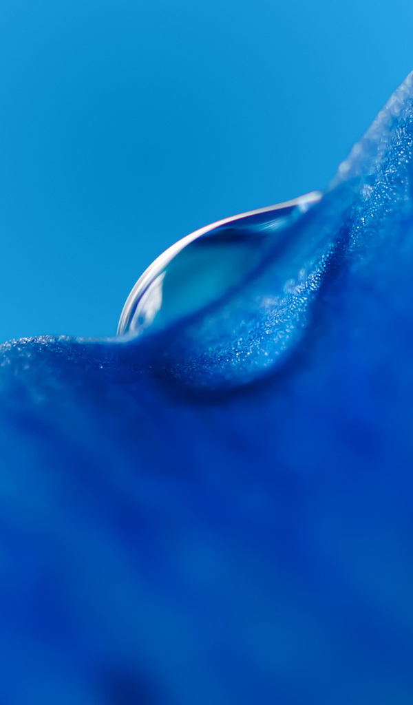 Капля воды на льду на голубом фоне