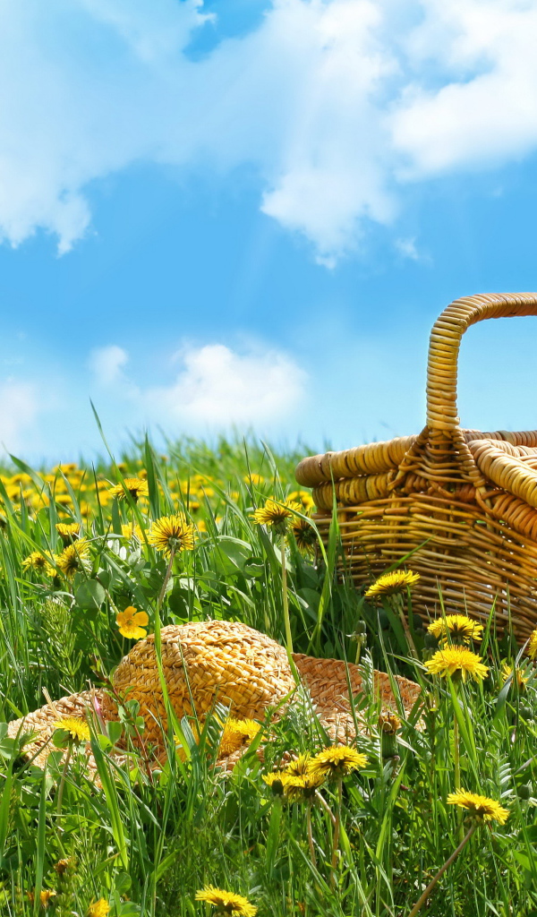 Корзина и шляпа лежат на зеленой траве с желтыми цветами