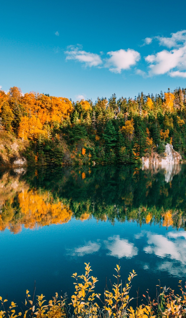 Голубое небо и лес отражаются в воде чистого горного озера