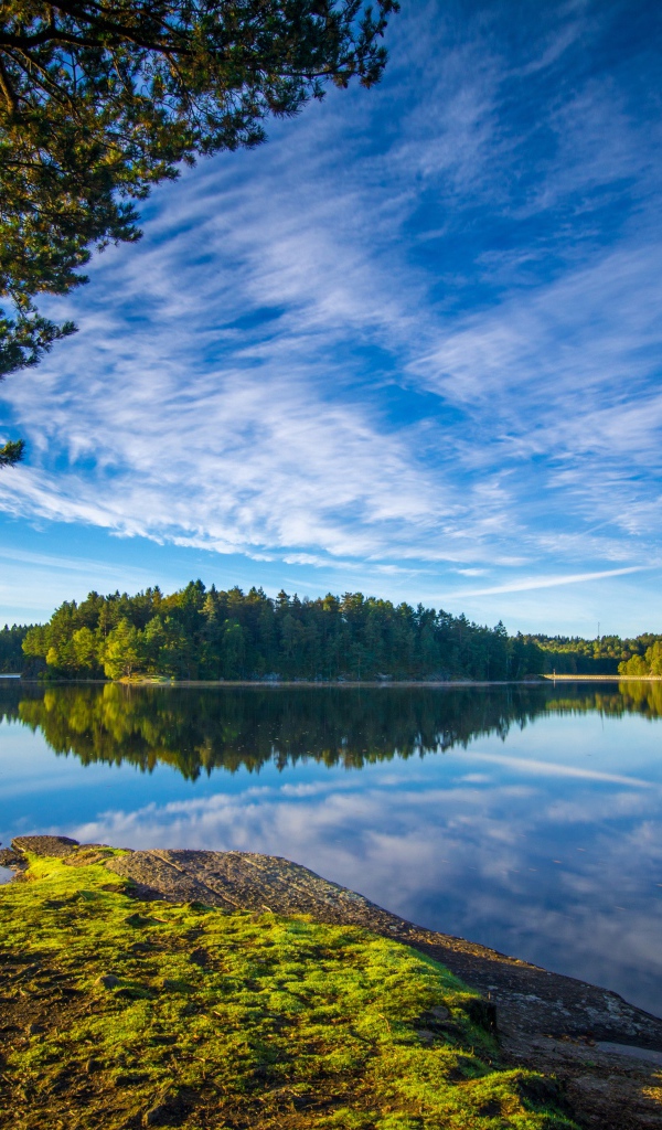 Голубое небо и зеленые деревья отражаются в воде