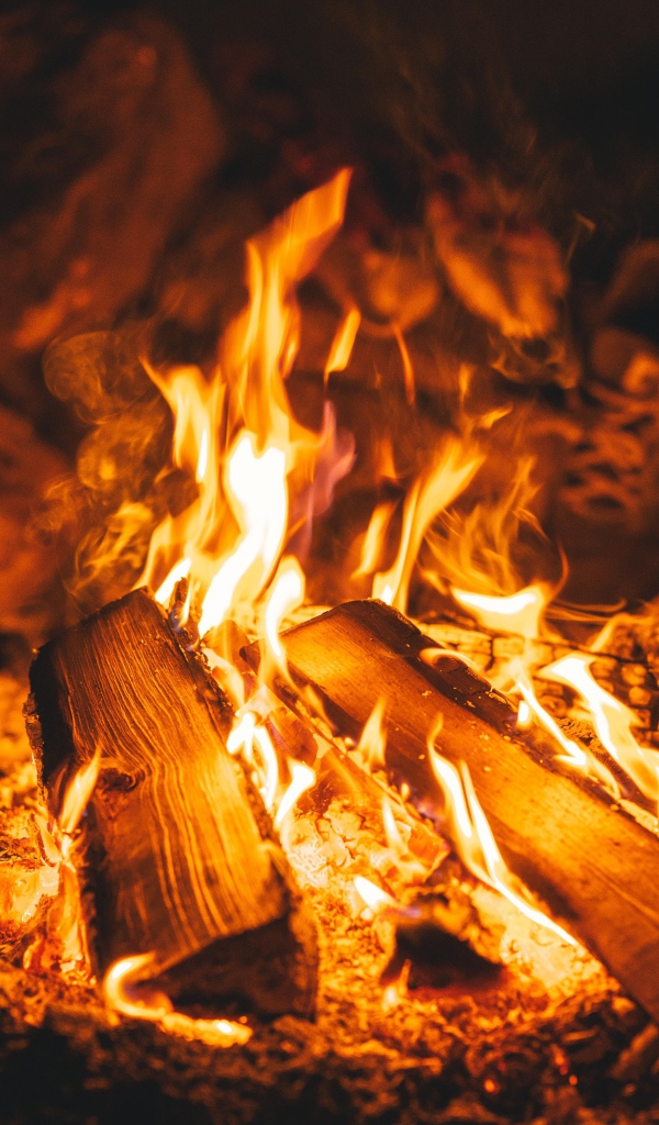 Дрова лежат в ярком огне костра