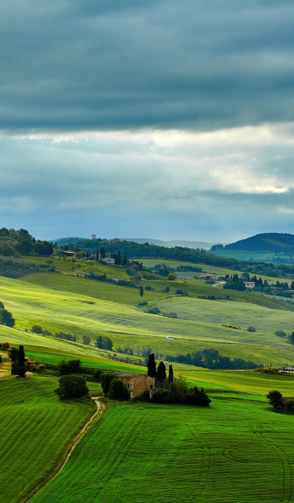 Зеленые поля под небом с грозовыми облаками
