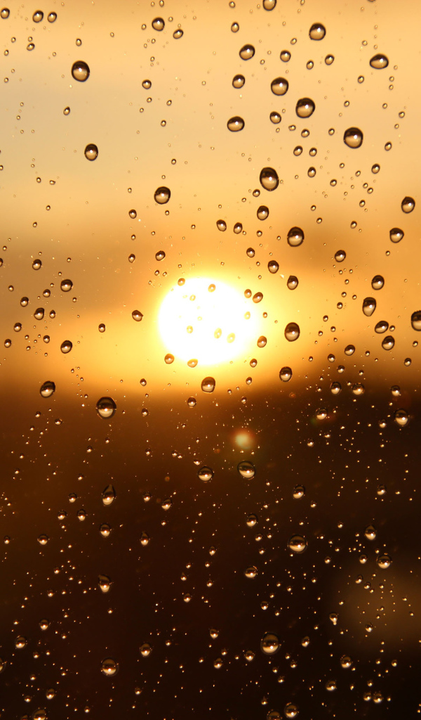 Капли дождя на стекле при свете солнца