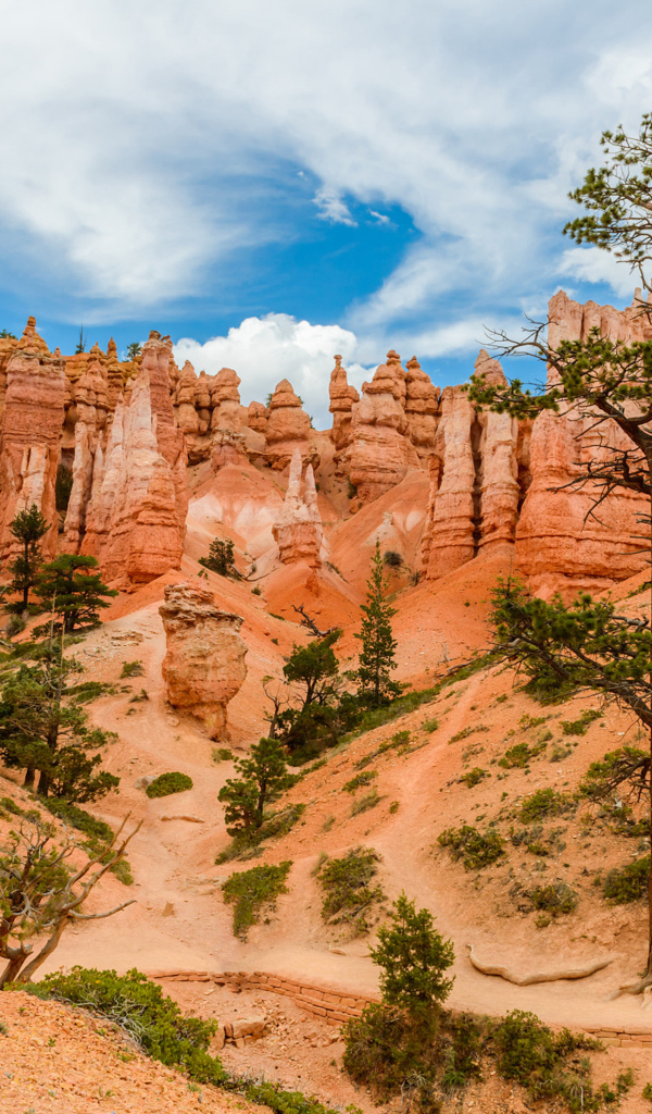 Живописный Брайс-Каньон под красивым небом, штат Юта, США