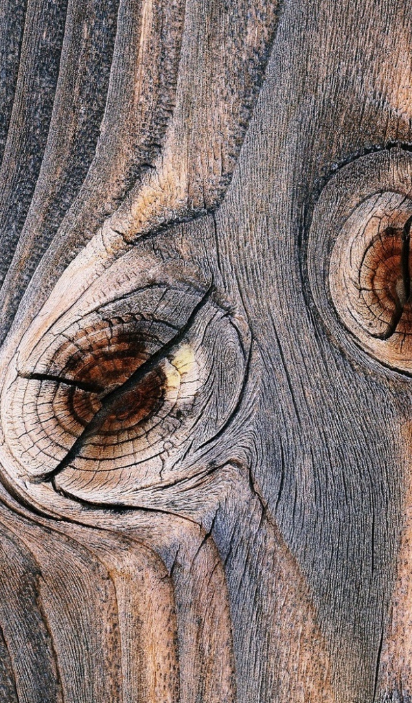 Следы от сучков с деревянной доске 