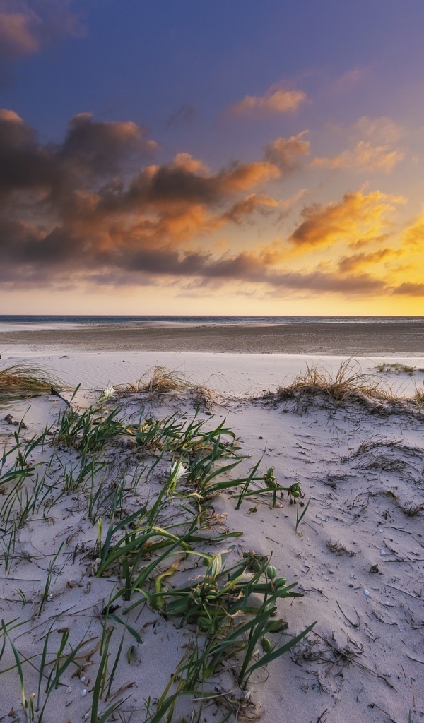 Белый песок в траве на берегу под красивым небом на закате